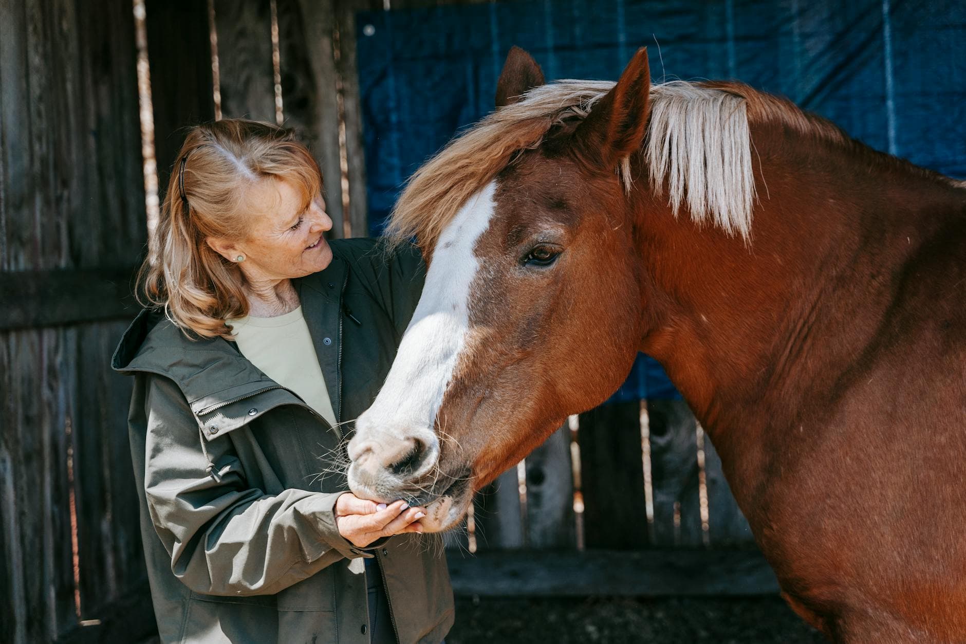 Chigwell Riding Trust, equestrian venue in Chigwell, Essex